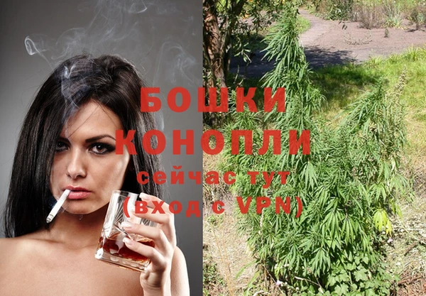 крисы Зеленокумск