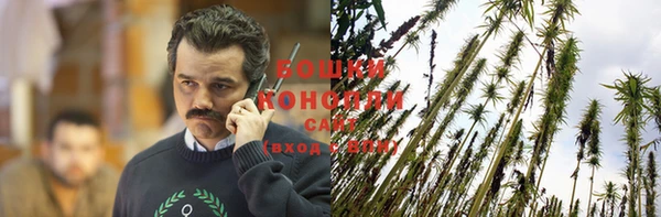 крисы Зеленокумск