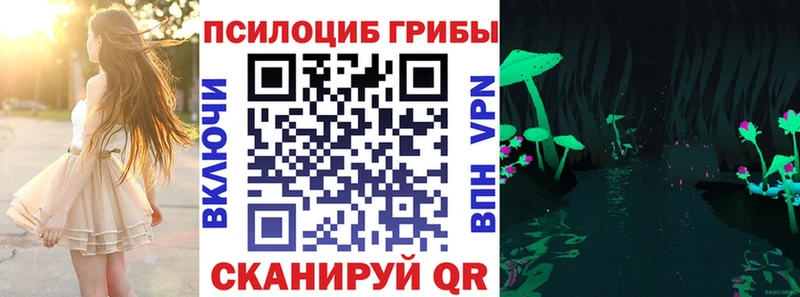 Купить закладки  Геленджик  Псилоцибиновые грибы Psilocybe 