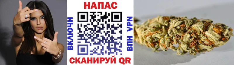 Шишки марихуана ГИДРОПОН  Купить где  Геленджик 